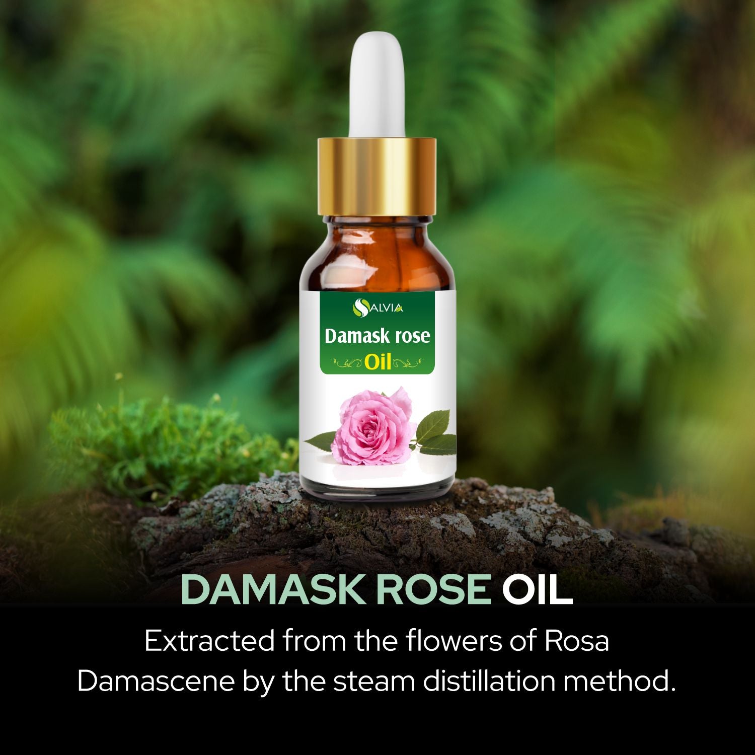 Salvia Natural Essential Oils,Dandruff,Greasy Oil,Anti Fungal,Anti-fungal Oil,Oil for Greasy Hair Damask Rose Oil Salvia Natural Essential Oils,Dandruff,Greasy Oil,Anti Fungal,Anti-fungal Oil,Oil for Greasy Hair Damask Rose Oil